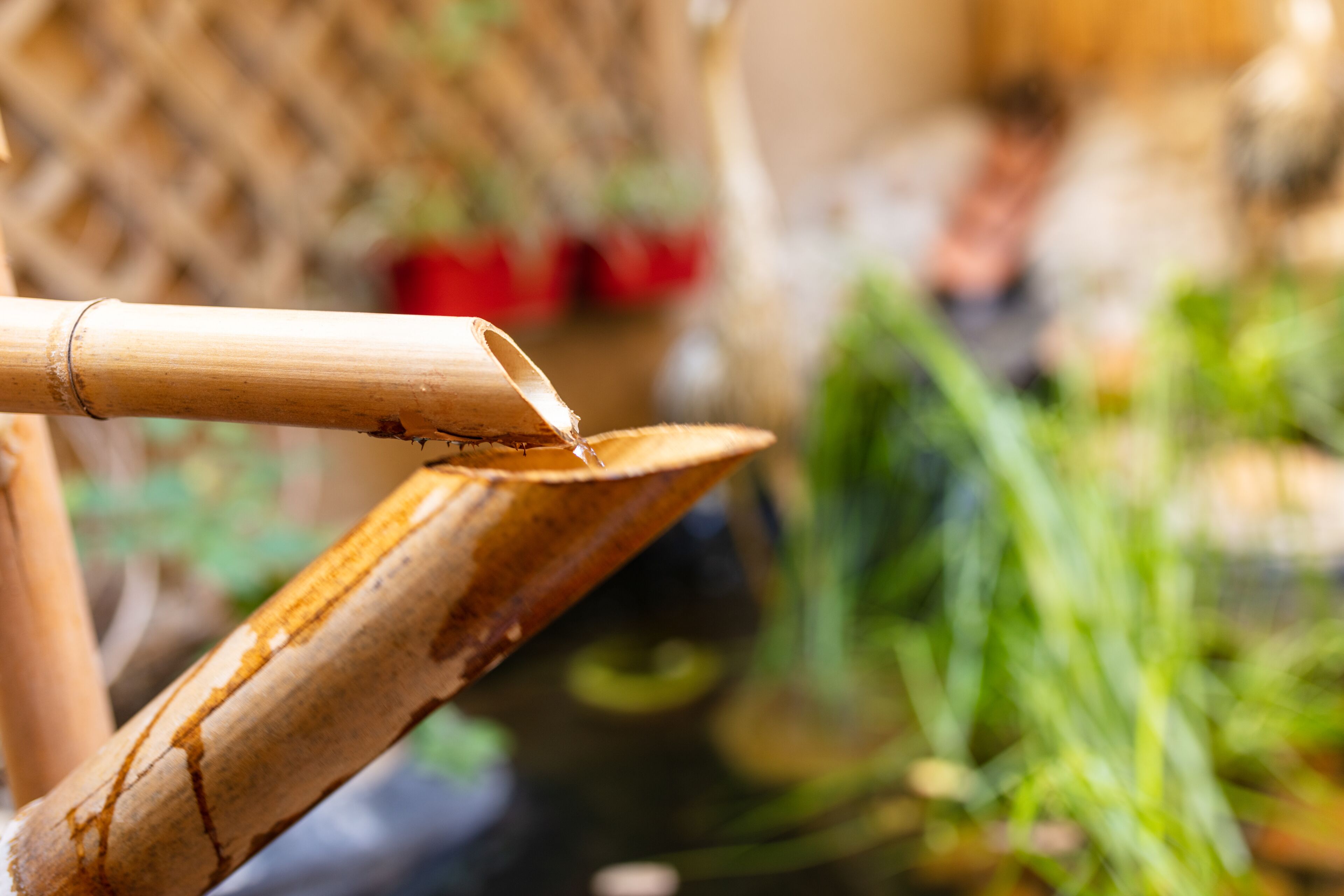 Photo - La Tour Du Terroir
