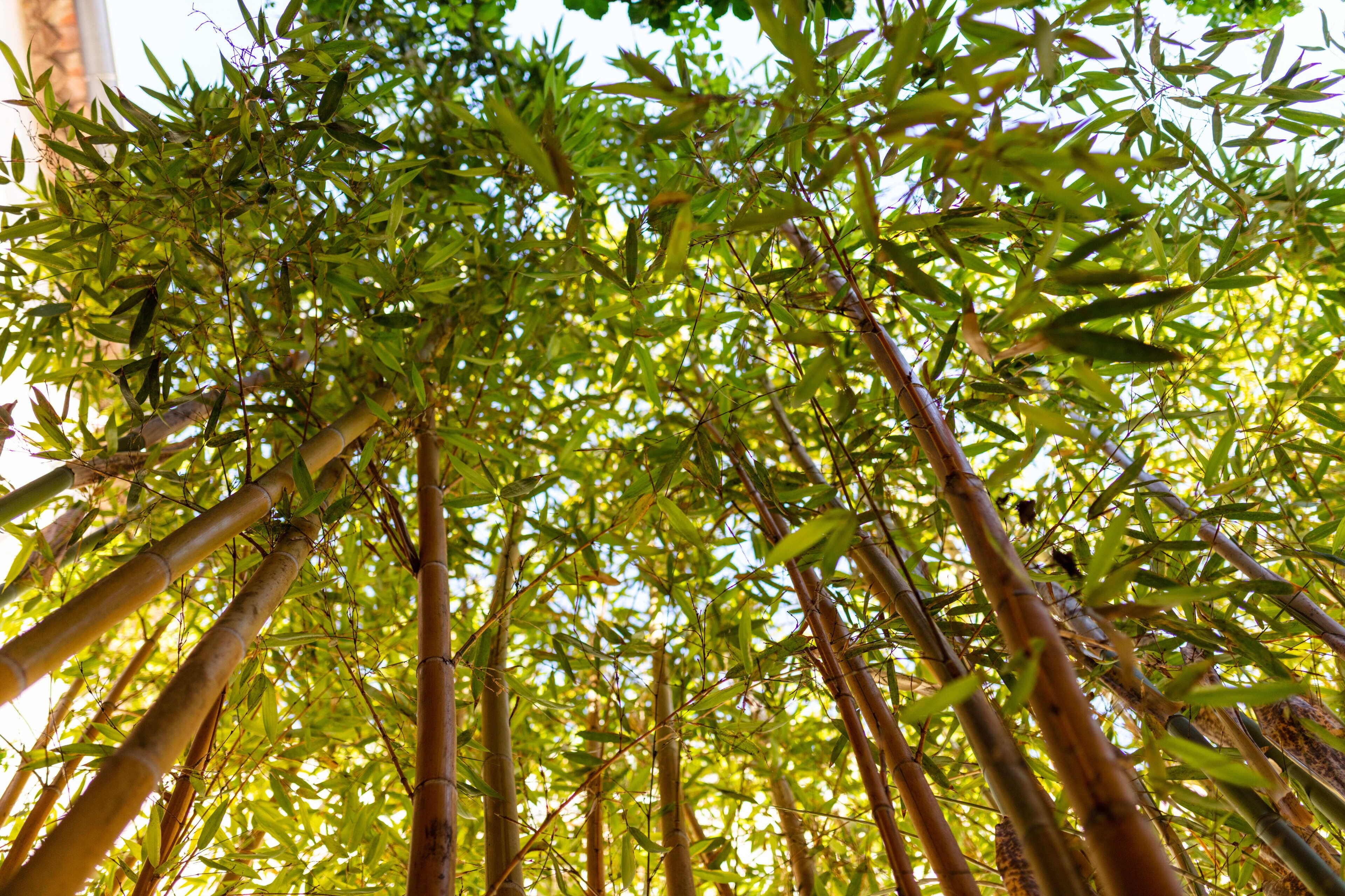 Photo - La Tour Du Terroir