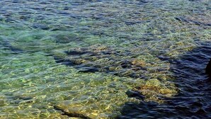 A coastal beach scene with clear water, rocky shoreline, and people swimming. - Villa Lauro Luxury B&B (Castellabate)