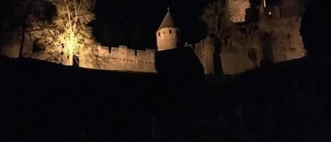 A historic stone castle with a fortified wall, a central tower, and a tree in the foreground.