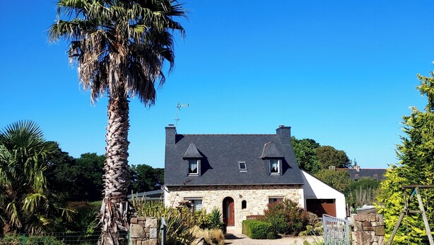 A stone house with a dark roof, a gravel driveway, and a palm tree.
