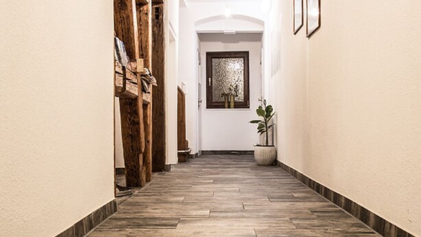 A hallway with a wooden floor, a potted plant, and a door with a frosted glass window. - Hotel Wagner (Bad Wimpfen)