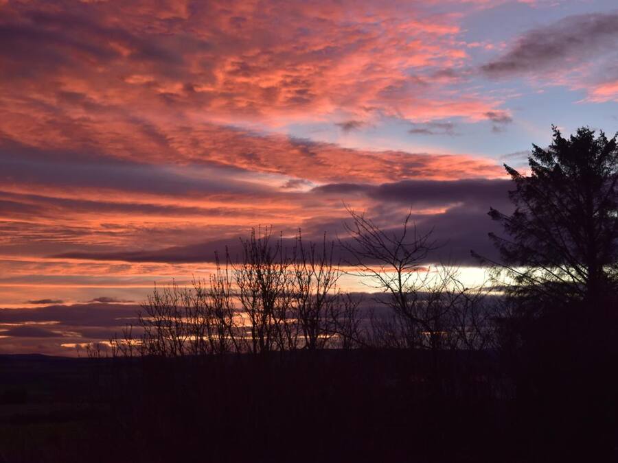 A sunset with a dramatic sky and silhouettes of trees.