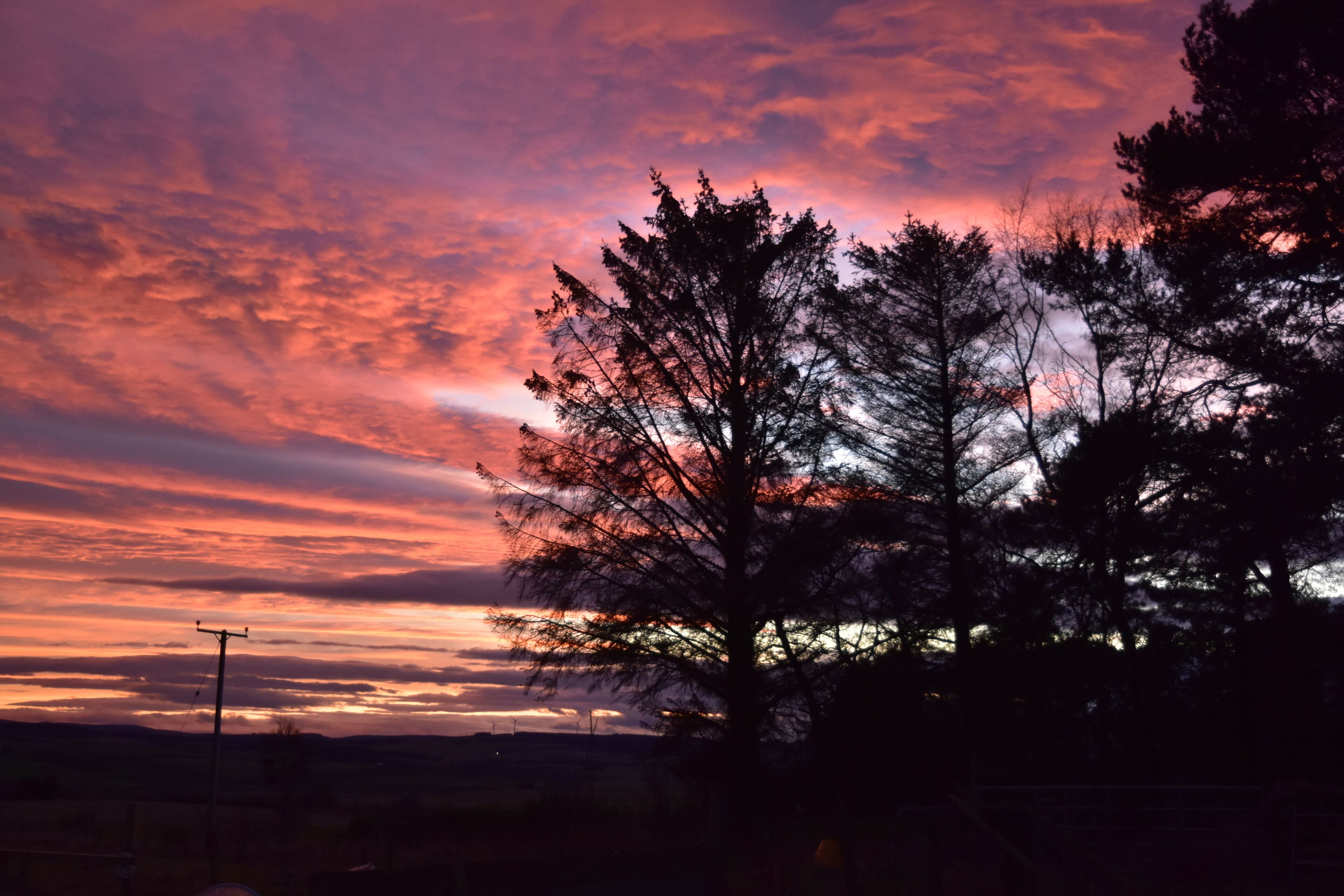 A sunset with a tree silhouette against a colorful sky.
