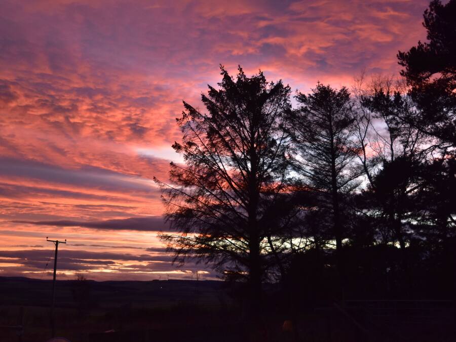 A sunset with a tree silhouette against a colorful sky.