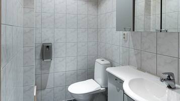 A modern bathroom with a toilet, sink, and mirror.
