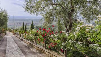 Pintu masuk properti