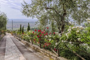 Property entrance - B-happy Villa's (Buti)