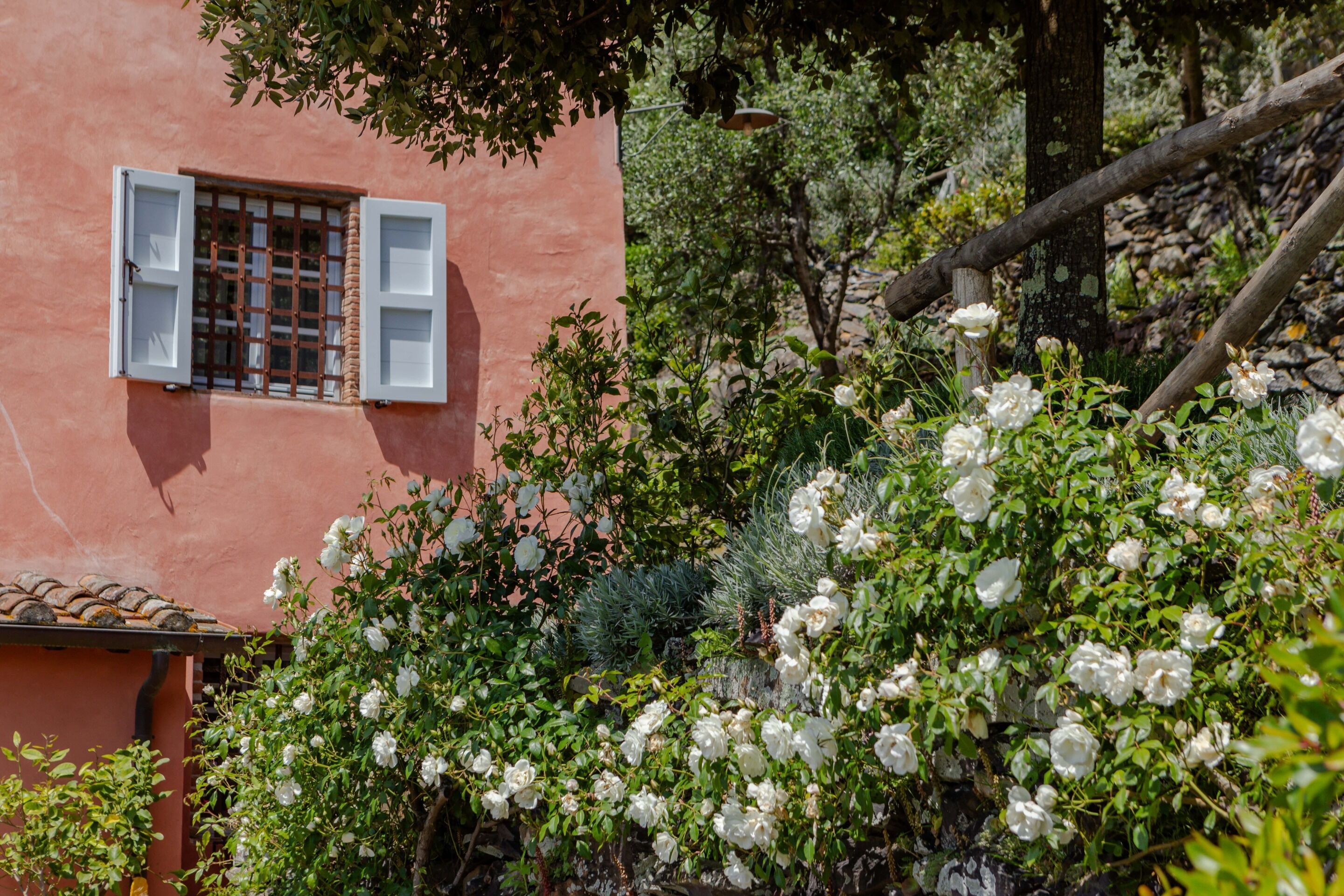 A pink building with a window and white shutters.
