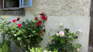 Chambre Double, salle de bains attenante (Jeanne de Ferrette) | Extérieur