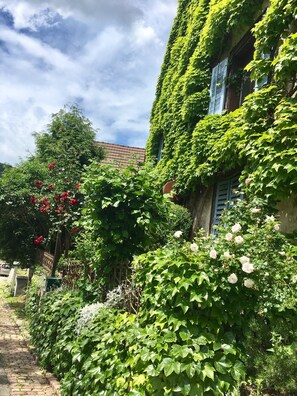 View from property - Maison des 5 Temps - Chambres Dhôtes de Charme à Ferrette (Ferrette)