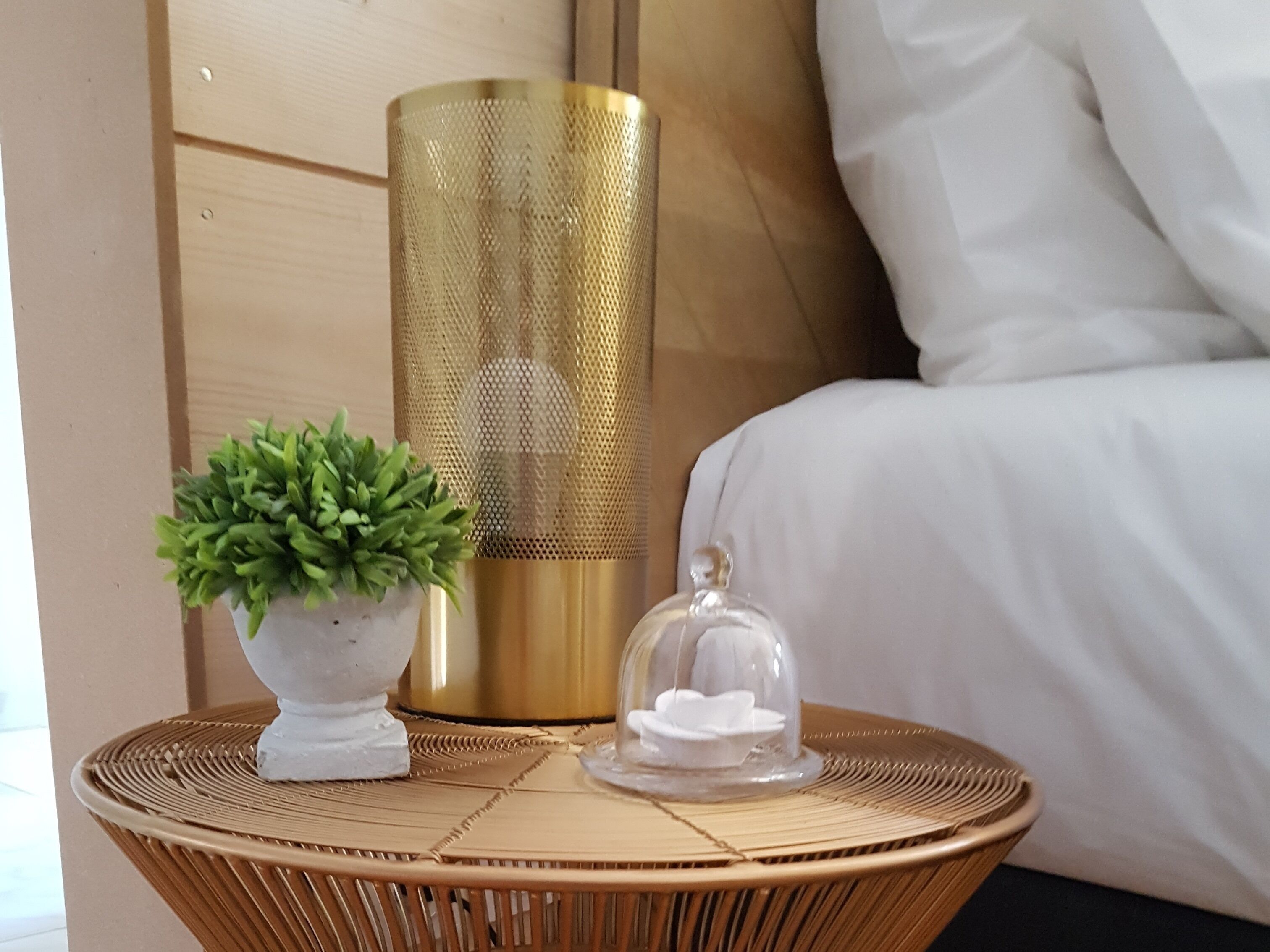 A wicker side table with a potted plant and a glass dome containing a white object.