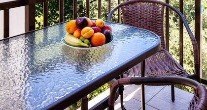 Famelia Studios Lampiris