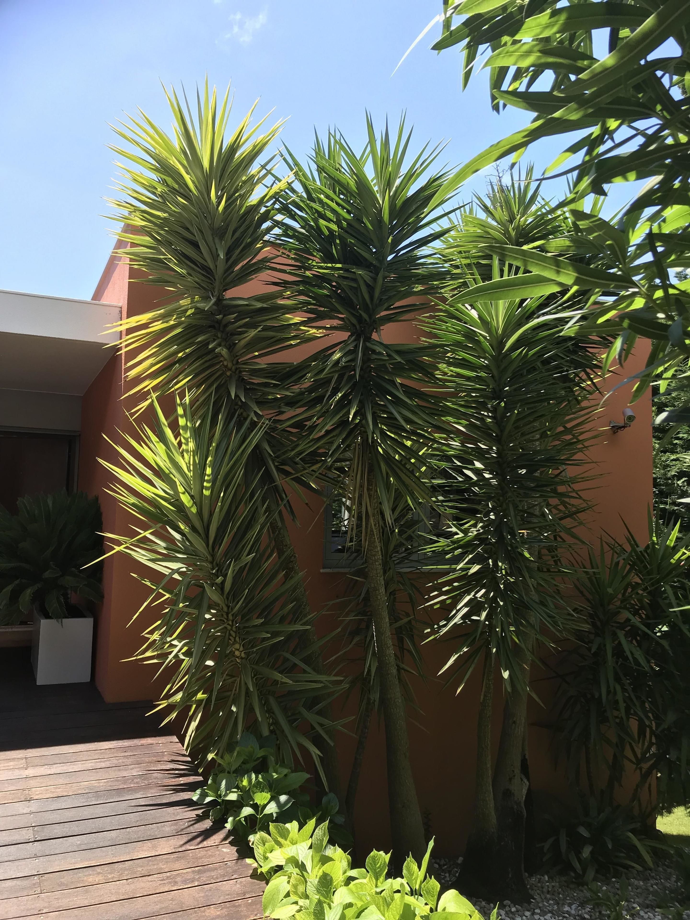 Foto - Cascais Casa Laranja Guesthouse