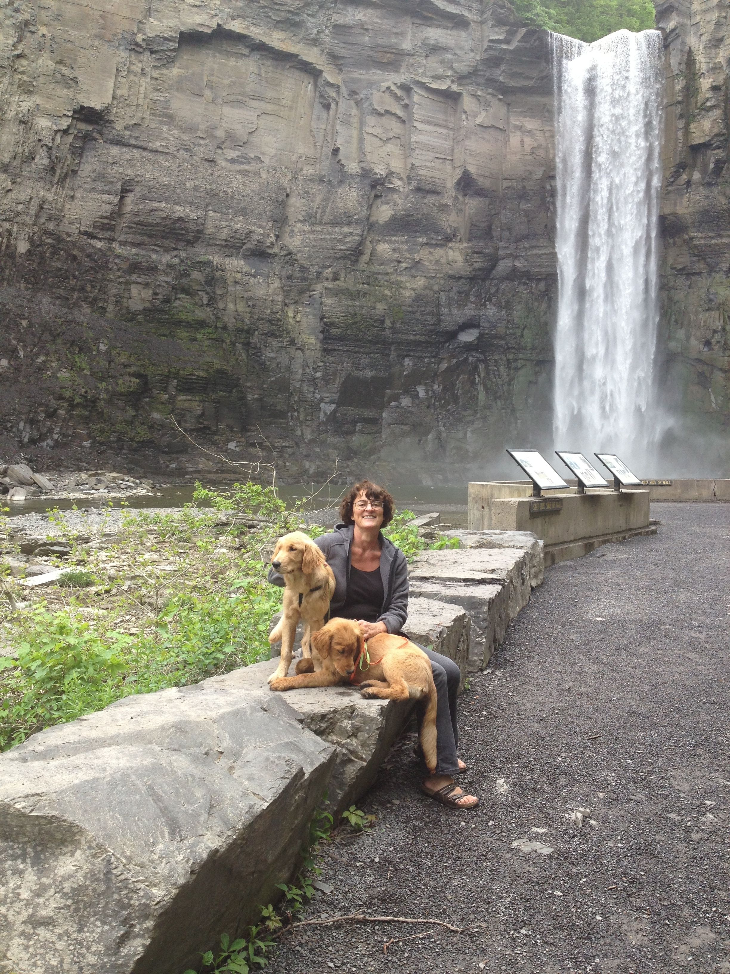 Une personne est assise sur une bordure en béton, avec un chien  à ses côtés, et elle a une vue sur une cascade.