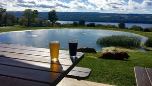 Vista al lago con una mesa, dos vasos de cerveza y un perro.