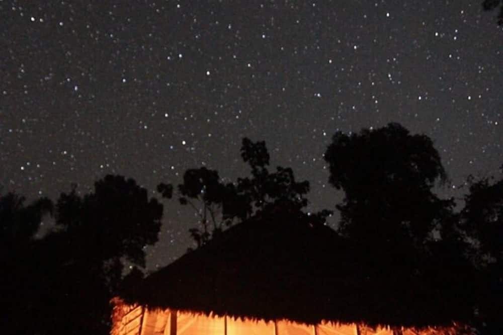 Tambopata Trek