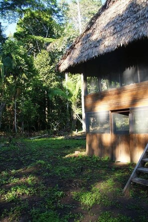 Exterior - Tambopata Trek (Tambopata)
