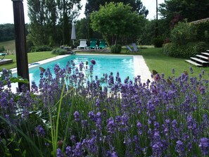Piscine extérieure, chaises longues