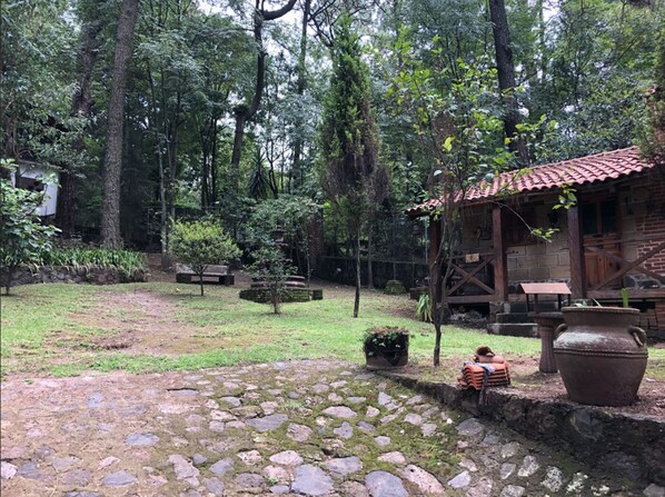 Jardín