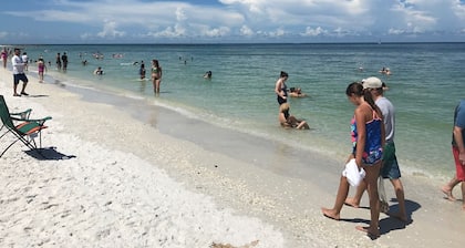 Seagrape