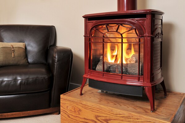 A wood-burning stove with a glass front, placed on a wooden table next to a leather sofa. - 1795 Acorn Inn B&B (Canandaigua)