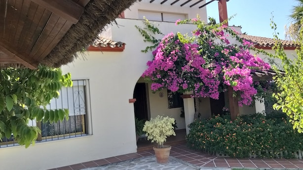 Une cour avec un bâtiment blanc, un toit de chaume et une variété de plantes, notamment des bougainvilliers et d’autres arbustes à fleurs.