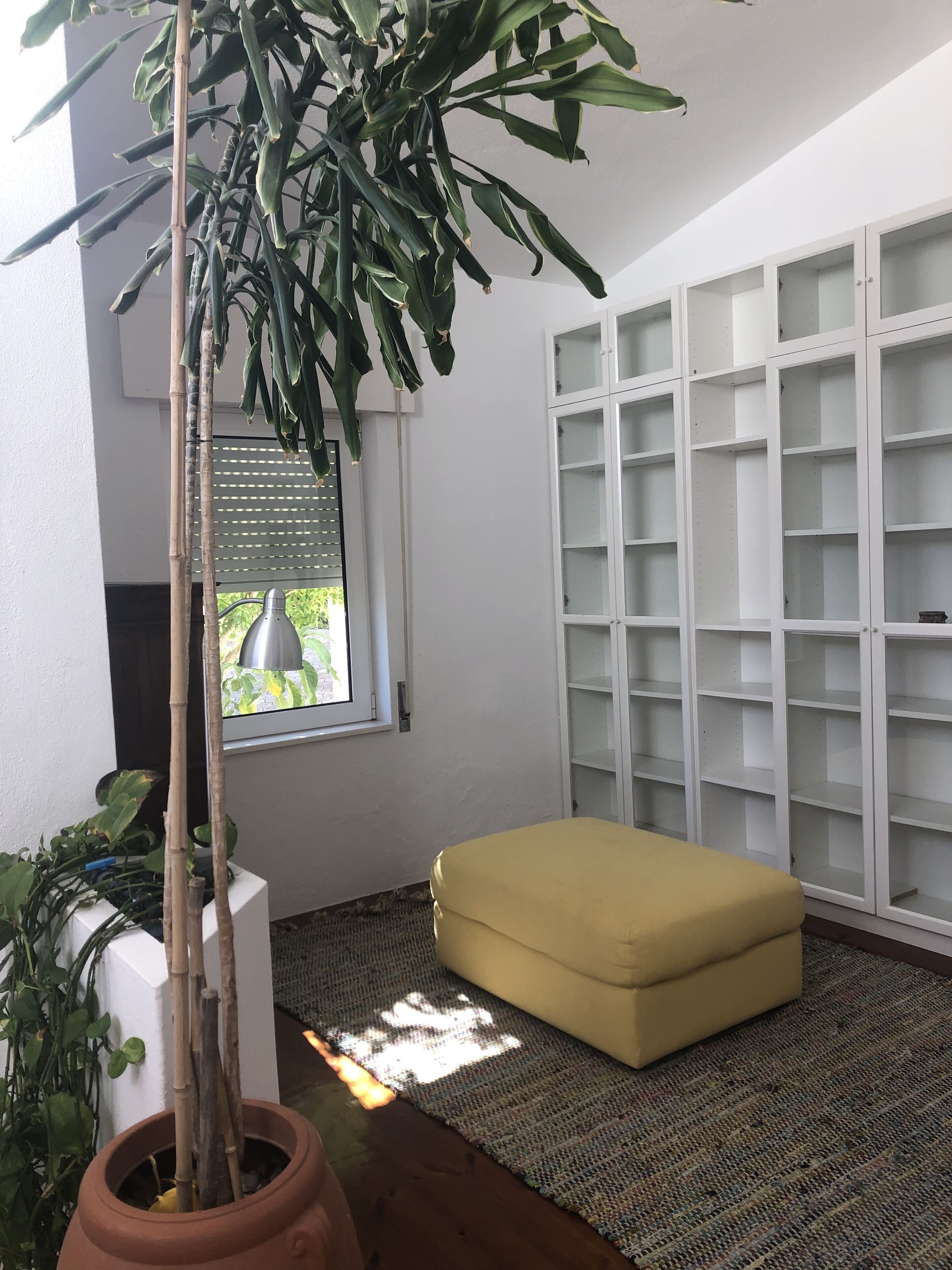 Una habitación con una planta en maceta, una ventana con persianas, un armario blanco con puertas de cristal y un otoman amarillo.