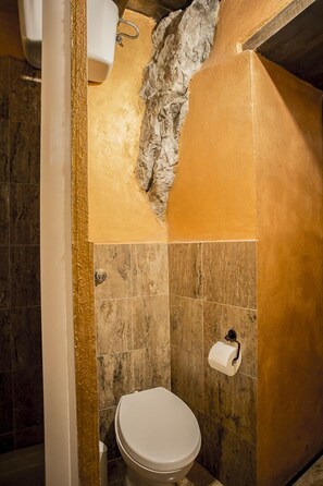 Regadera, secadora de cabello, bidet, toallas 