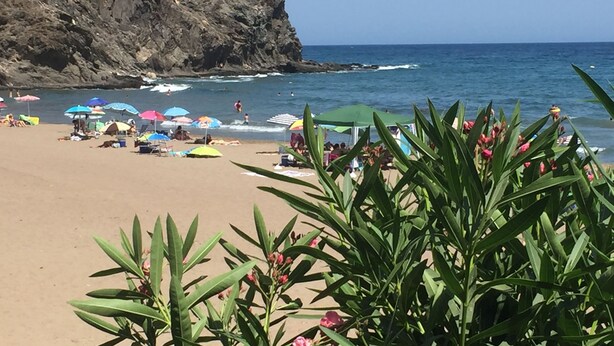 Ein Strand mit Sonnenschirmen und Menschen.