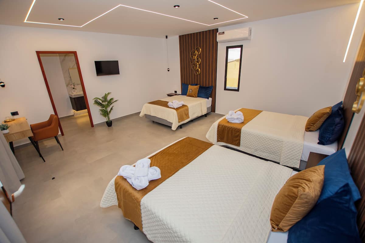 Une chambre d’hôtel avec deux lits, un bureau, une chaise, une télévision et une plante en pot.