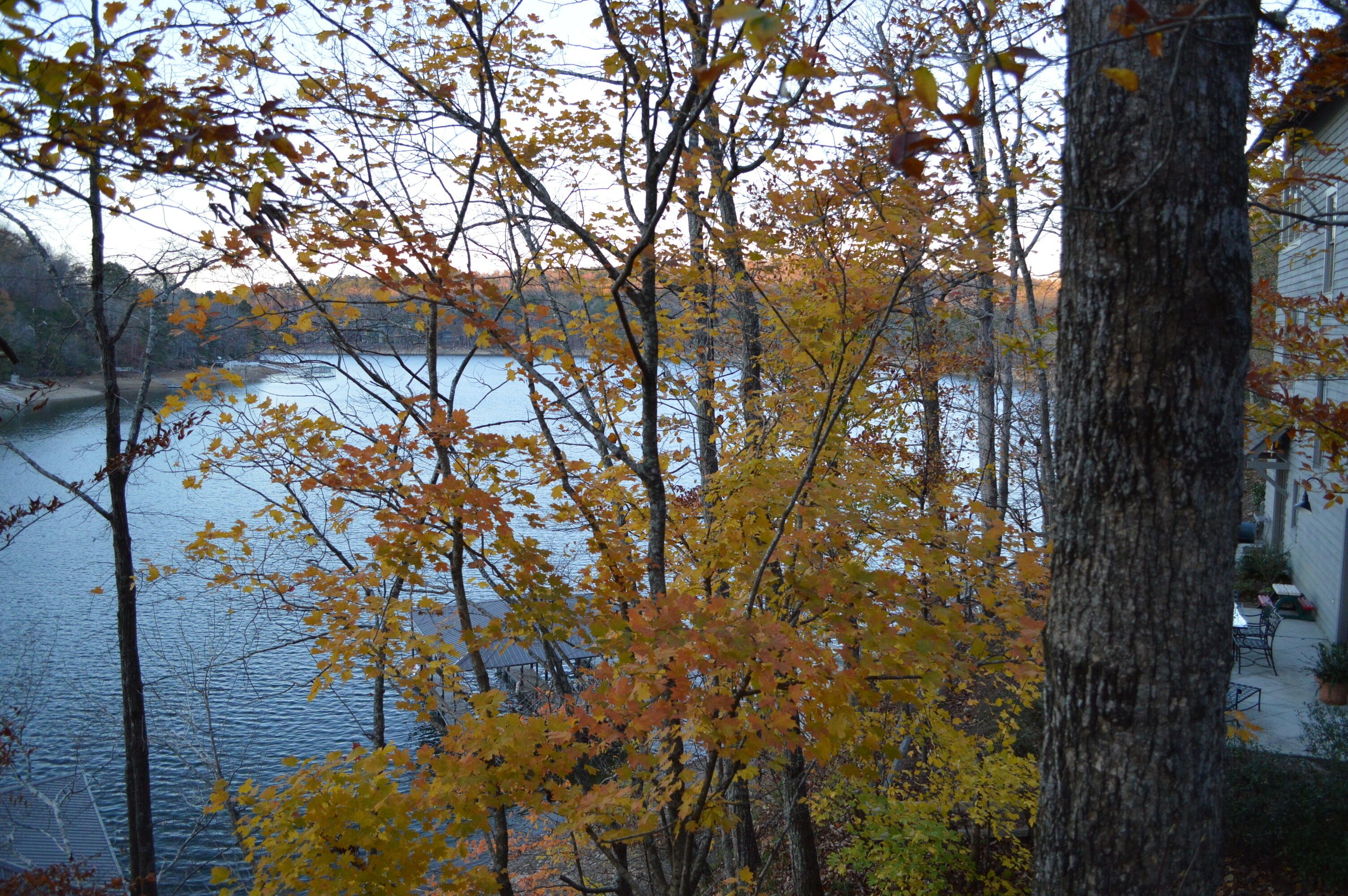 Ein See, umgeben von Bäumen mit Herbstlaub.