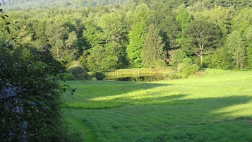 A lush green landscape with a river, dense forest, and a distant mountain range.
