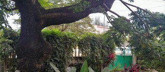 Casa de Ferias