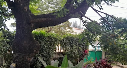 Casa de Ferias