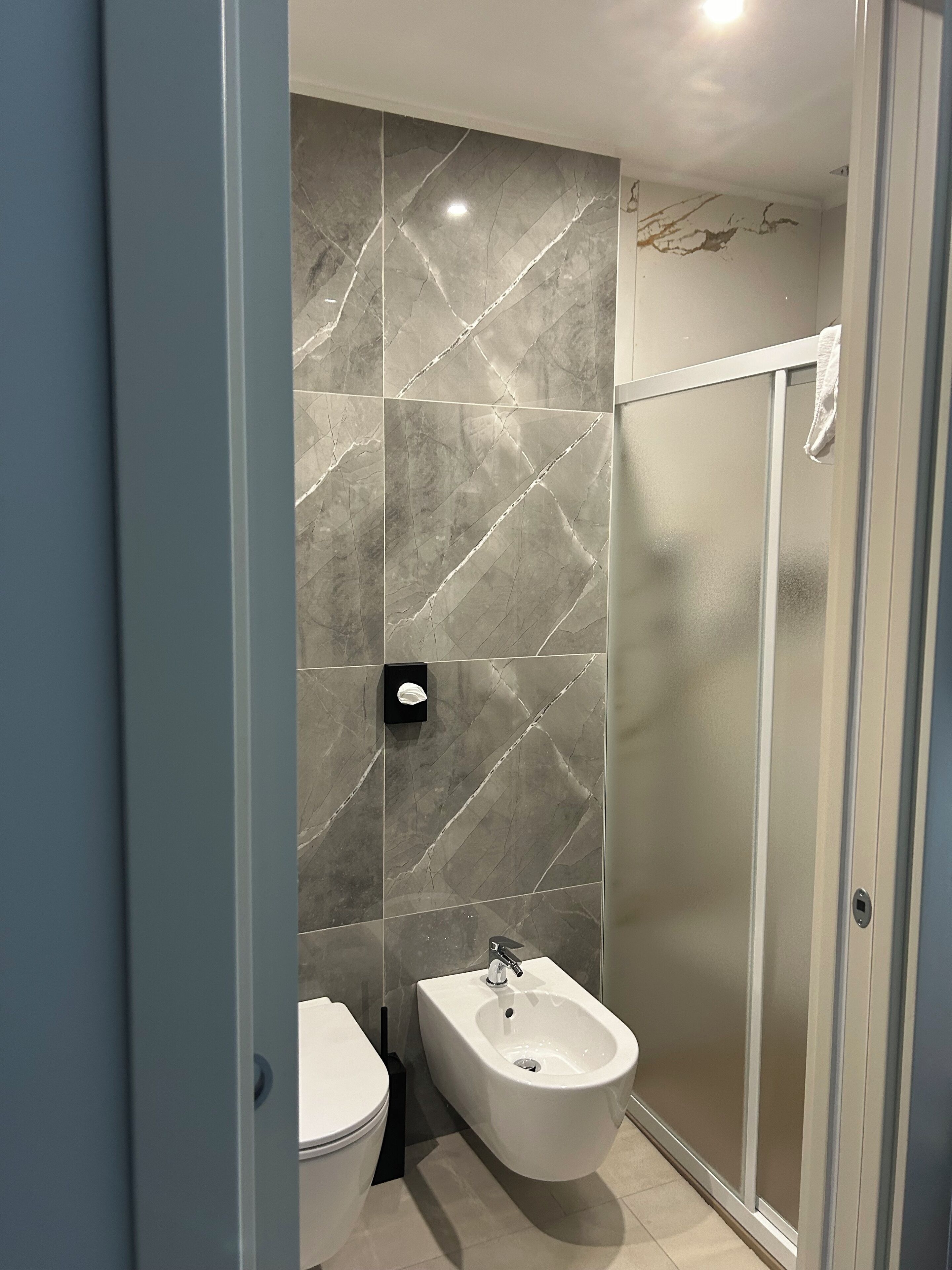 A modern bathroom with a bidet, a toilet, and a glass shower enclosure.
