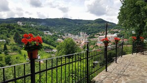 Un camino empedrado con barandilla de metal que lleva a un mirador panorámico con flores rojas y vistas a un pueblo y colinas.