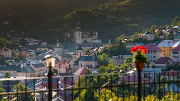A town with a prominent church and residential buildings.