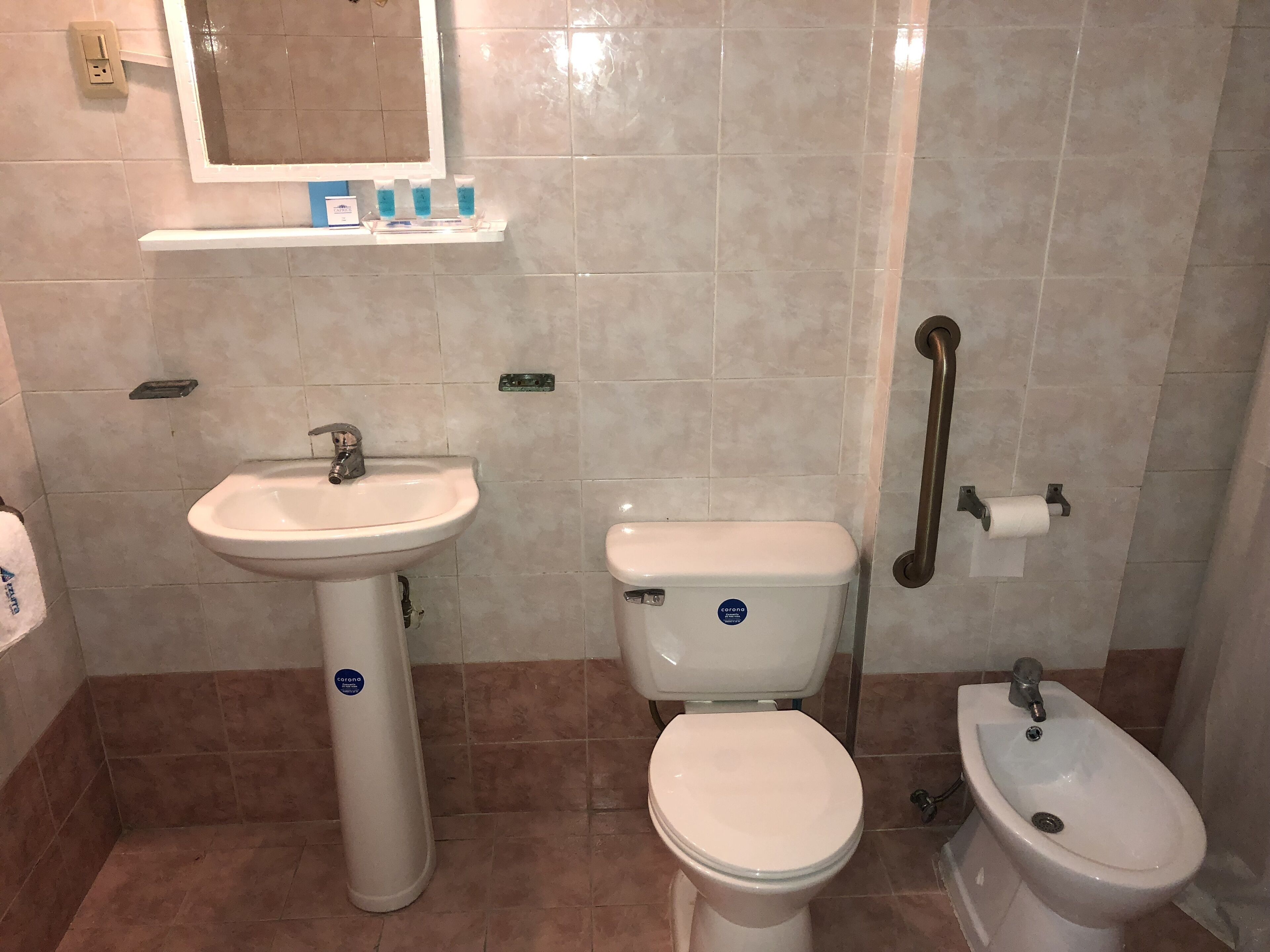 shower, free toiletries, hair dryer, bidet