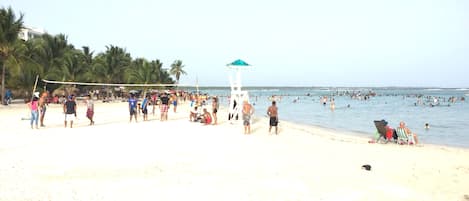 En strand med mennesker, et volleyballnet og palmer.
