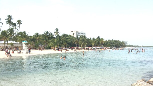 Een strand met helder water, palmbomen en een uitkijktoren.