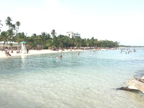 Una playa con agua cristalina, palmeras y una torre de salvavidas.