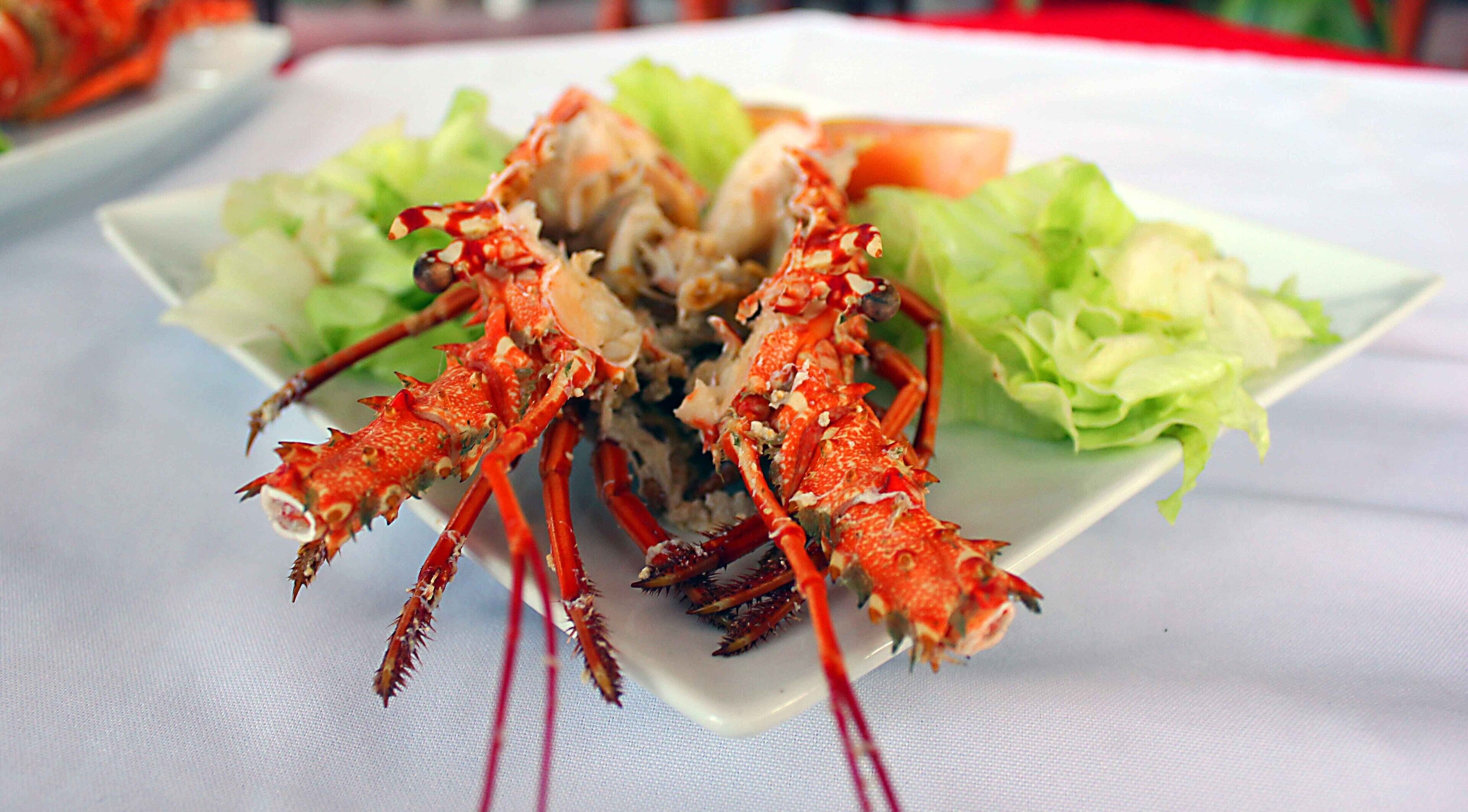Une assiette de crabe cuit, accompagnée de laitue et d’une tranche de tomate.