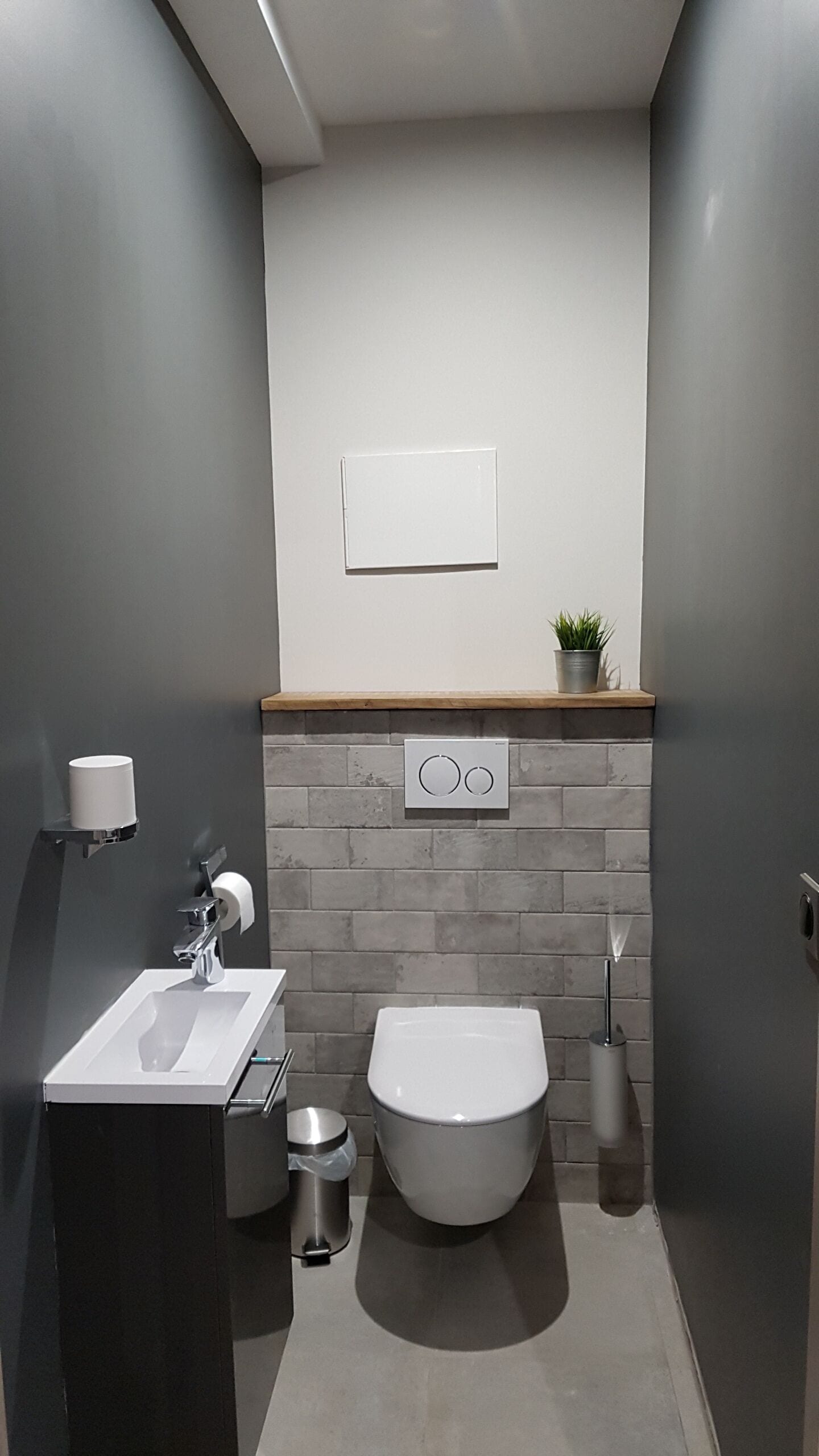 Une salle de bain moderne avec un lavabo blanc, des toilettes et une petite plante en pot posée sur le meuble-vasque.