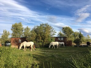 Standard Double or Twin Room, Private Bathroom | 1 bedroom, premium bedding, iron/ironing board, bed sheets