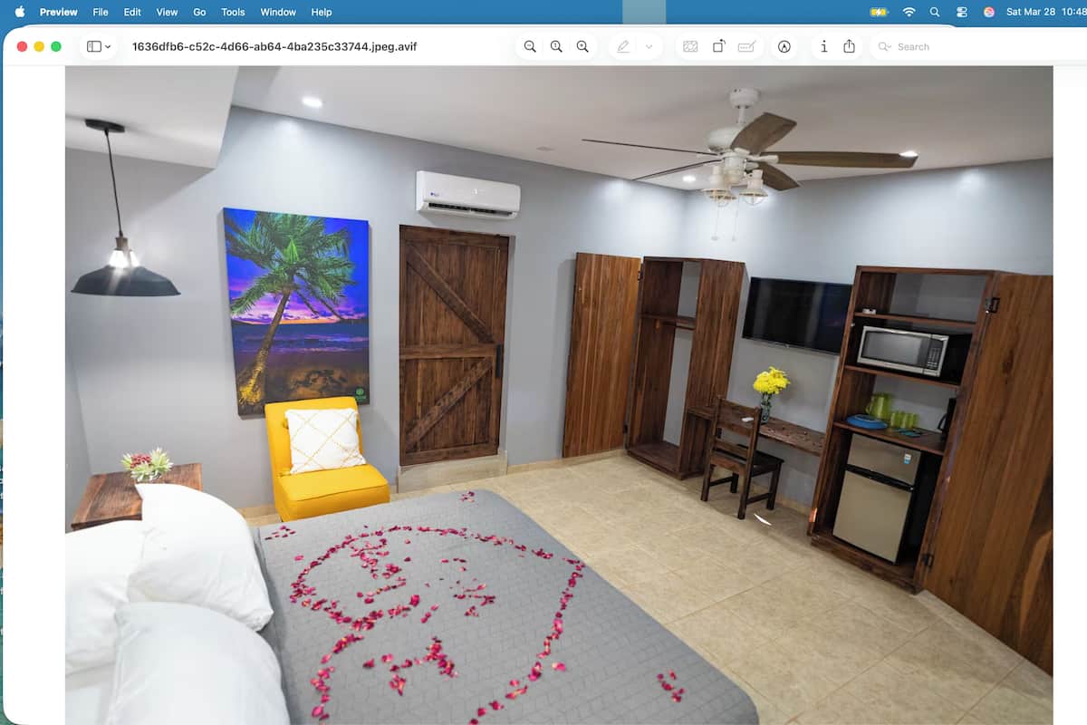 Deluxe Room | Premium bedding, in-room safe, individually decorated