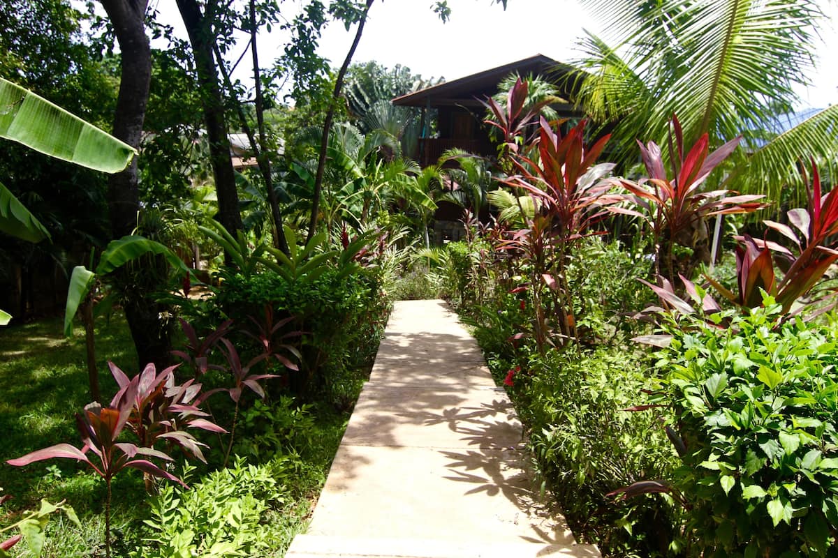 A concrete pathway flanked by lush greenery and a wooden structure in the background.