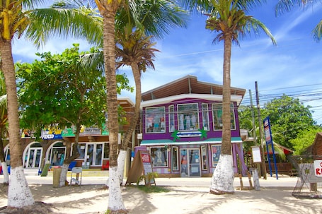 Exterior. Mame Trees
