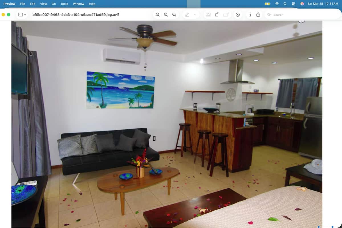 Comfort Studio, 1 Queen Bed with Sofa bed, Kitchen, Garden View | Living area | Flat-screen TV