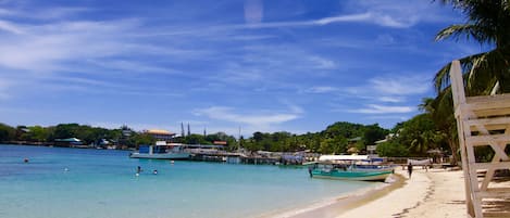 Plage, plongée sous-marine, snorkeling